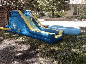 IMG00101-20090611-1039